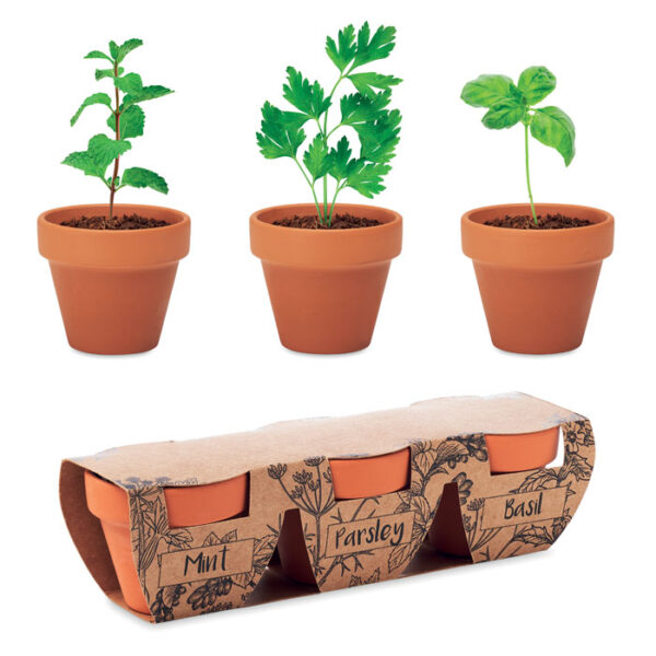 FLOWERPOT - Image 2