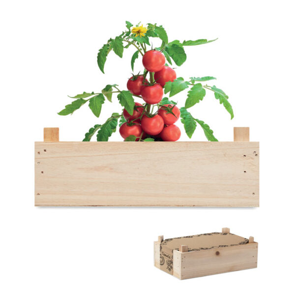 TOMATO - Image 2