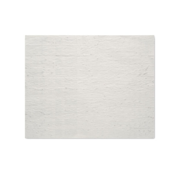 BANDSEE - Image 4