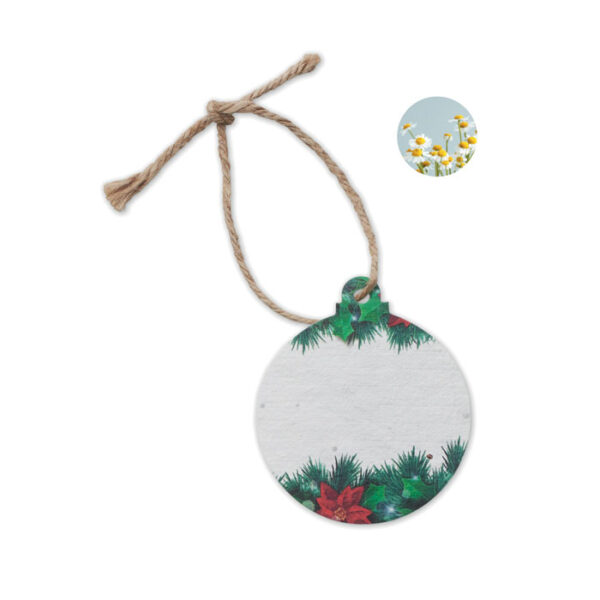 BAUSEED - Image 2