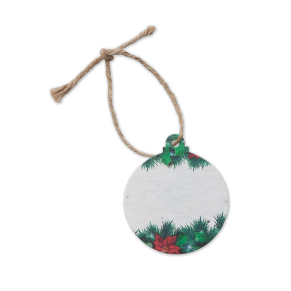 BAUSEED - Image 3